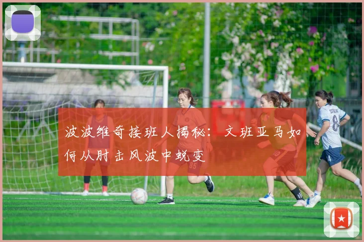 波波维奇接班人揭秘：文班亚马如何从肘击风波中蜕变