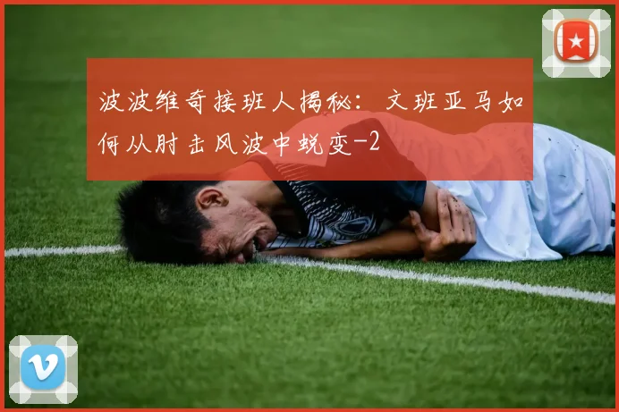 波波维奇接班人揭秘：文班亚马如何从肘击风波中蜕变