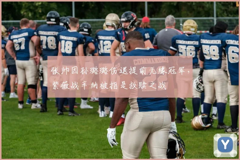 张帅因孙璐璐伤退提前无缘冠军，紫薇战辛纳被指是救赎之战
