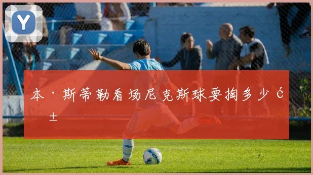 本·斯蒂勒看场尼克斯球要掏多少钱