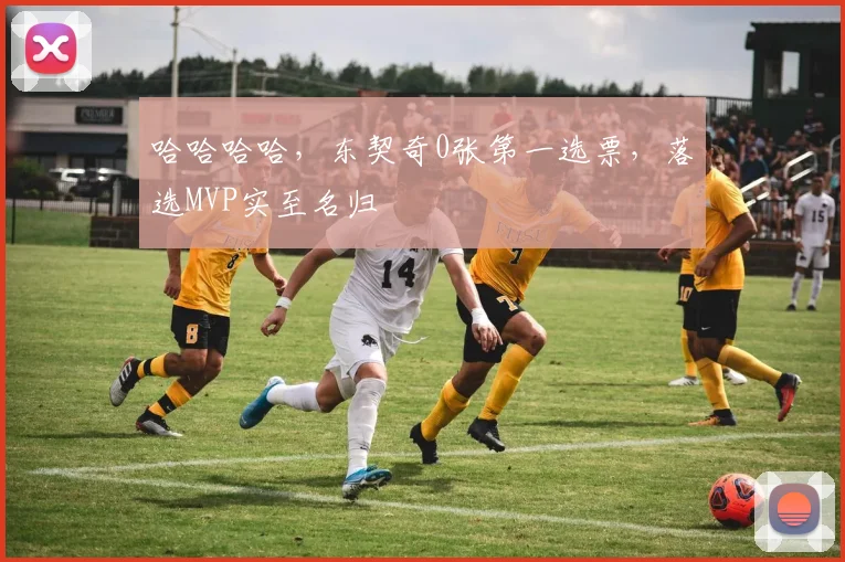 哈哈哈哈，东契奇0张第一选票，落选MVP实至名归